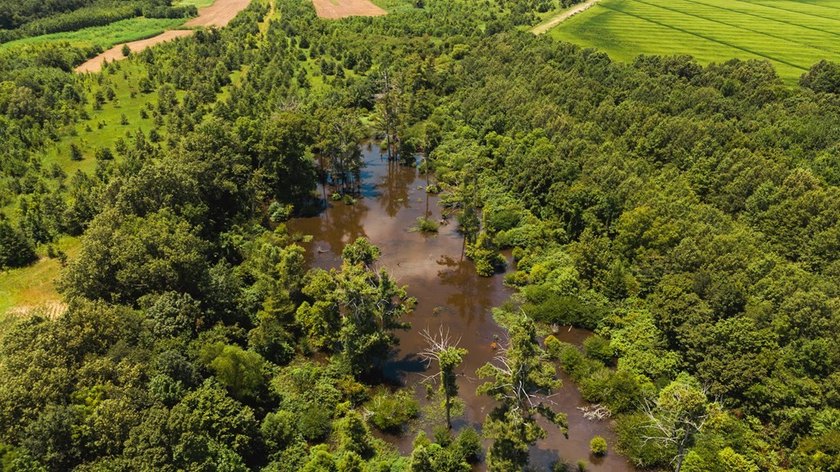 The Birdie 70: Farm &amp; Hunt Investment Discover a rare 70-acre - photo 7