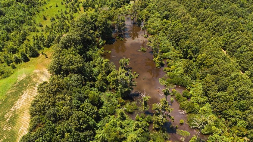 The Birdie 70: Farm &amp; Hunt Investment Discover a rare 70-acre - photo 8