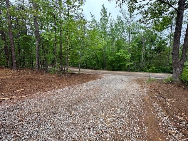 APPROX 70 ACRES OF LAFAYETTE COUNTY MS LAND JOINING THE HOLLY - photo 5