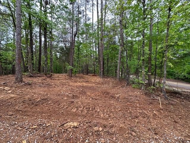 APPROX 70 ACRES OF LAFAYETTE COUNTY MS LAND JOINING THE HOLLY - photo 6