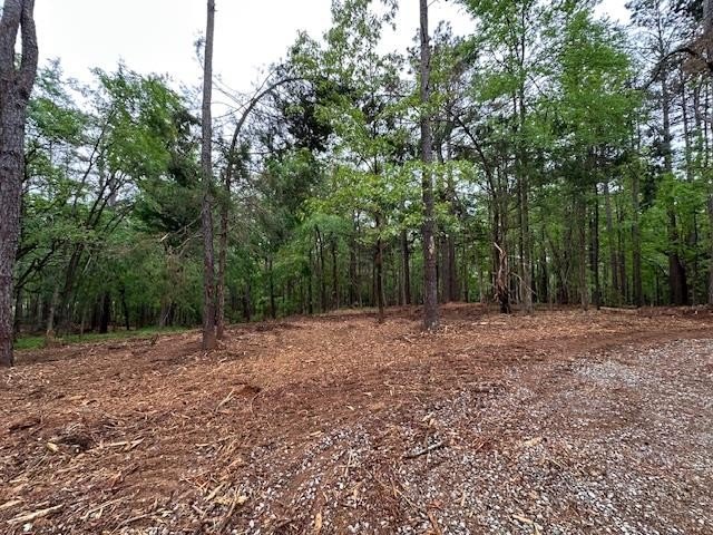 APPROX 70 ACRES OF LAFAYETTE COUNTY MS LAND JOINING THE HOLLY - photo 8