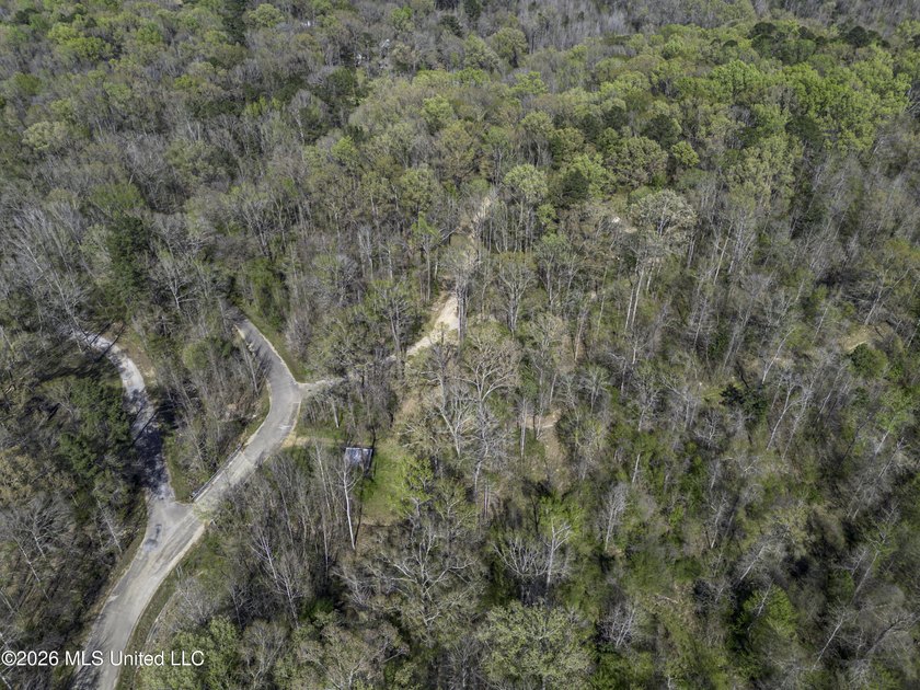 Located just outside of Port Gibson, this 44.16+/- surveyed acre - photo 50