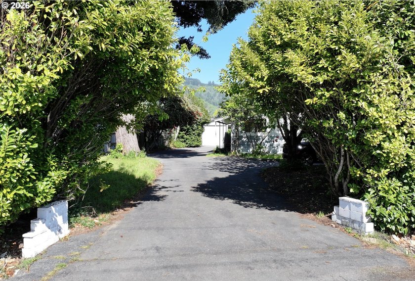 1976 Hillcrest manufactured home with solid bones and serious - photo 3