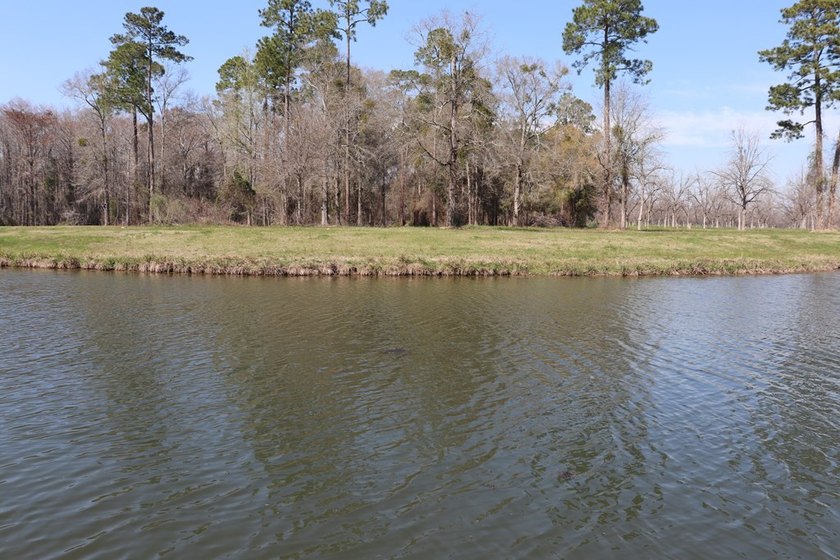 Lot # 18 with a double boathouse/ 2600 Sq. Ft. Heated Required - photo 19