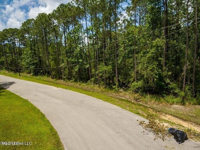 Good Building Lot Timber Ridge. Located in an AE Flood Zone - photo 3