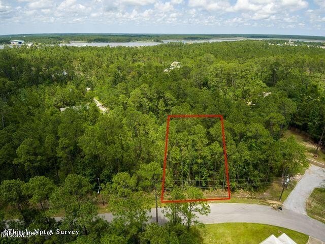 Good Building Lot Timber Ridge. Located in an AE Flood Zone - photo 4