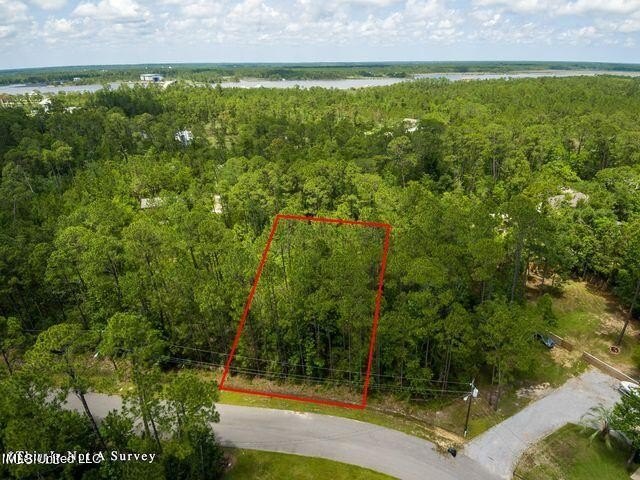 Good Building Lot Timber Ridge. Located in an AE Flood Zone - photo 5