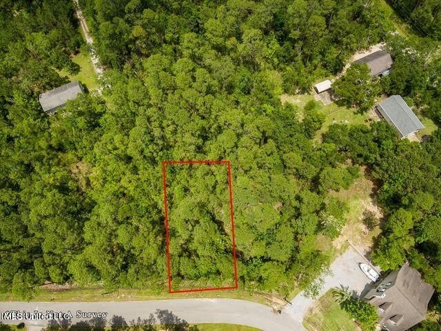 Good Building Lot Timber Ridge. Located in an AE Flood Zone - photo 8