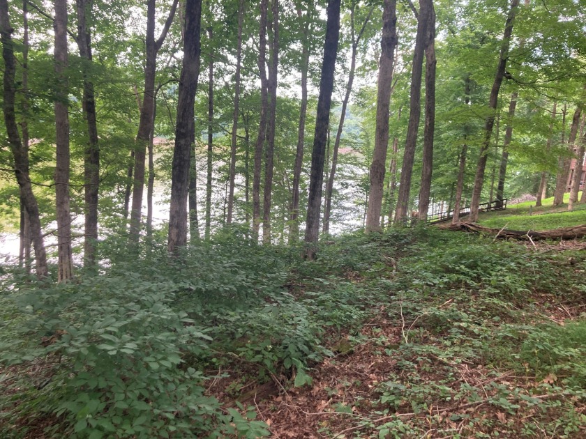 Lot on Beautiful Barren River Lake in Allen County, KY - photo 5