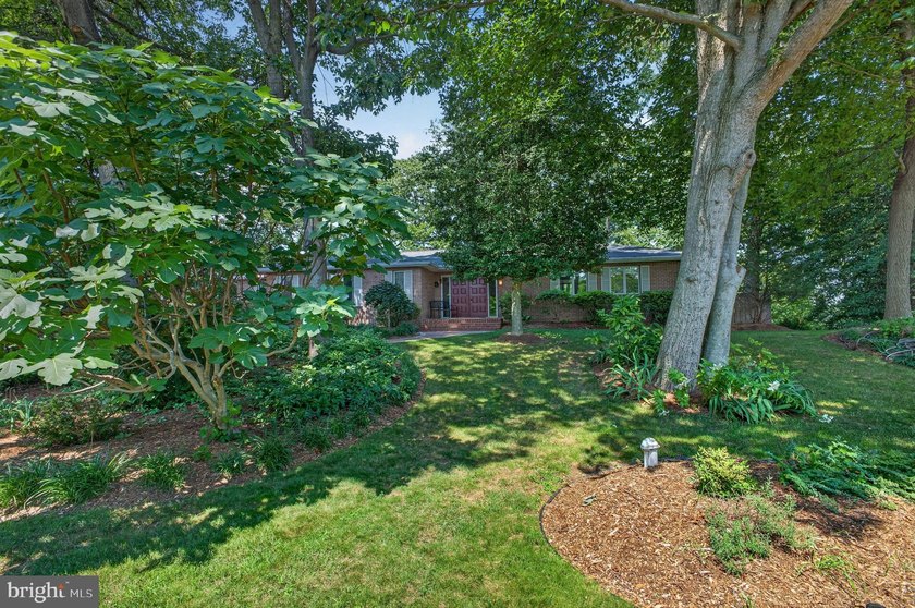 Beautiful waterfront on nearly 7 acres. Spacious composite deck - photo 50