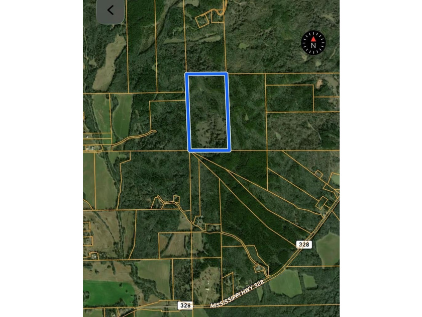 A remarkable 80 acre recreational tract tucked away in Taylor - photo 3