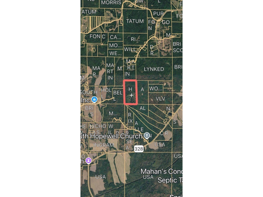 A remarkable 80 acre recreational tract tucked away in Taylor - photo 4