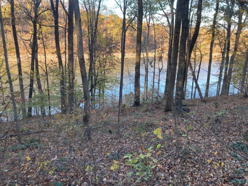 Lot on Beautiful Barren River Lake in Allen County, KY - photo 10