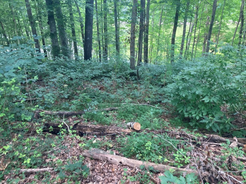 Lot on Beautiful Barren River Lake in Allen County, KY - photo 6
