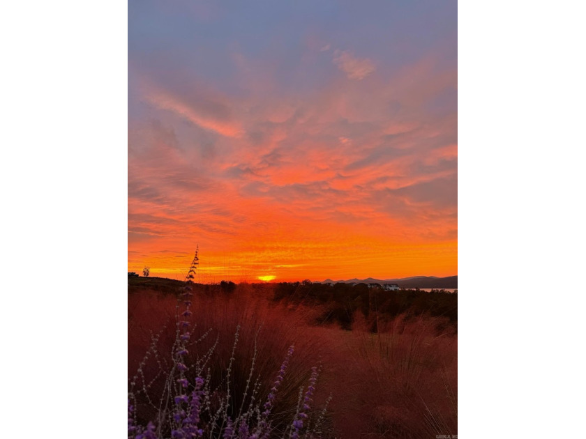 Spectacular, colorful skies at sunrise and sunset daily! Welcome - photo 15