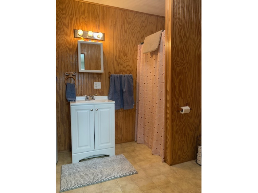 Bathroom Vanity. - photo 16