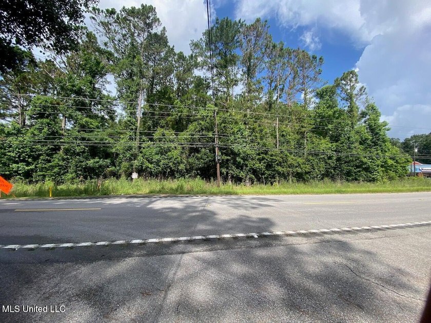 Waterfront Land for Sale - 10.33 Acres on Robinson Bayou! - photo 14