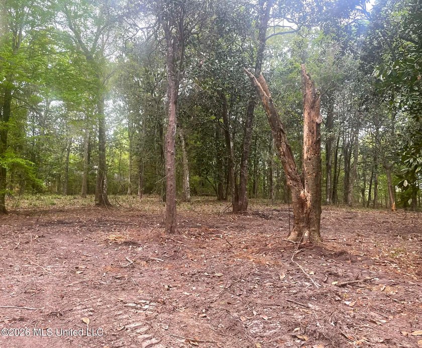 Waterfront Land for Sale - 10.33 Acres on Robinson Bayou! - photo 18
