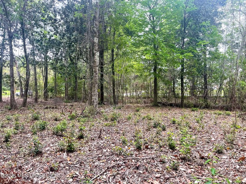Waterfront Land for Sale - 10.33 Acres on Robinson Bayou! - photo 19