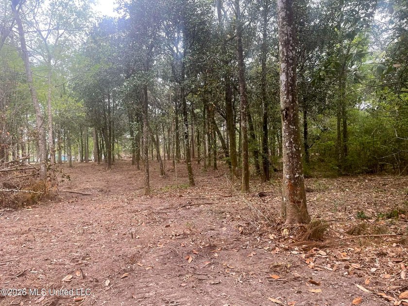 Waterfront Land for Sale - 10.33 Acres on Robinson Bayou! - photo 21