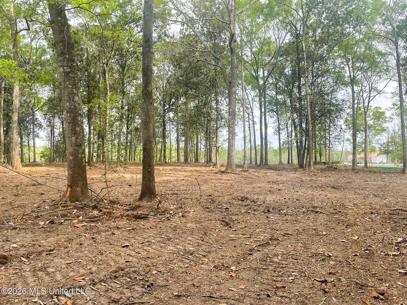 Waterfront Land for Sale - 10.33 Acres on Robinson Bayou! - photo 22