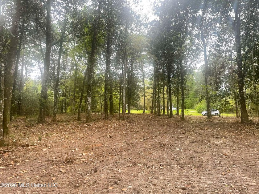 Waterfront Land for Sale - 10.33 Acres on Robinson Bayou! - photo 23