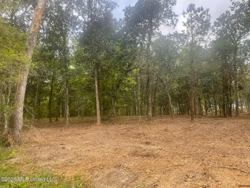 Waterfront Land for Sale - 10.33 Acres on Robinson Bayou! - photo 29