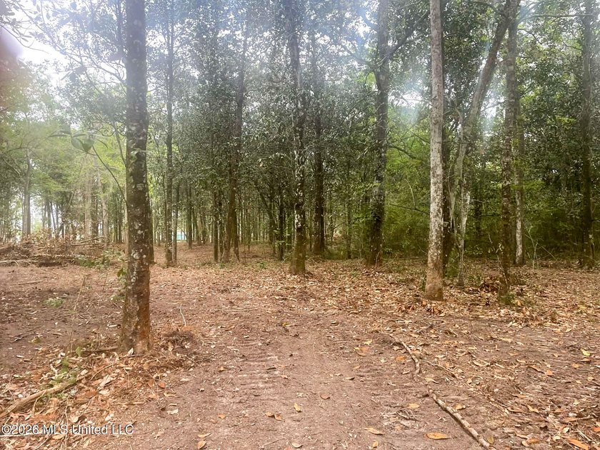Waterfront Land for Sale - 10.33 Acres on Robinson Bayou! - photo 30