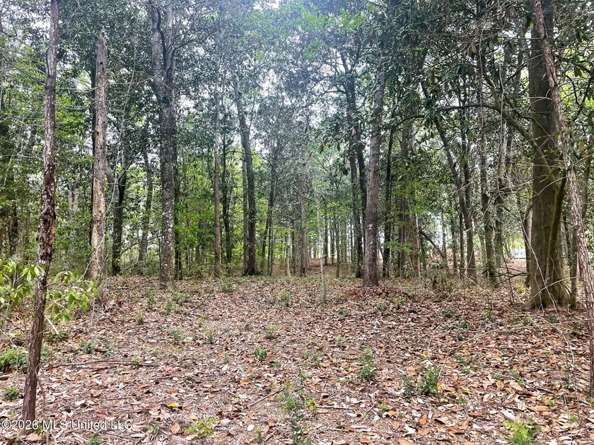 Waterfront Land for Sale - 10.33 Acres on Robinson Bayou! - photo 31