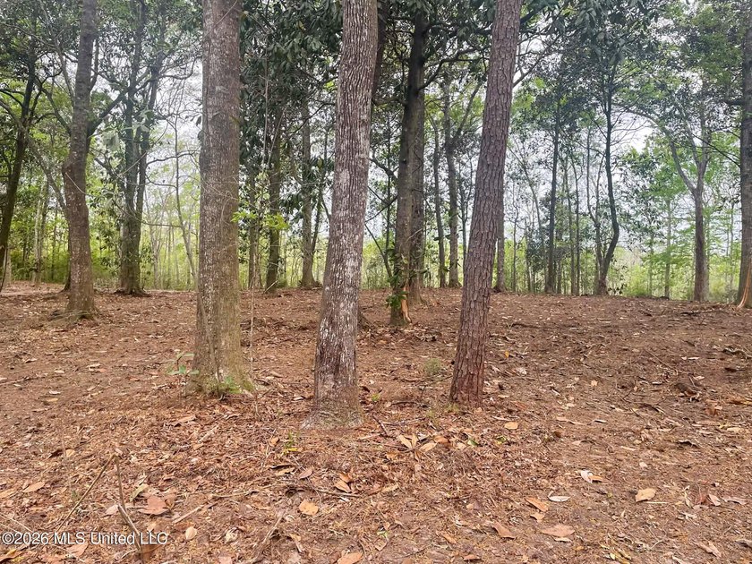Waterfront Land for Sale - 10.33 Acres on Robinson Bayou! - photo 32