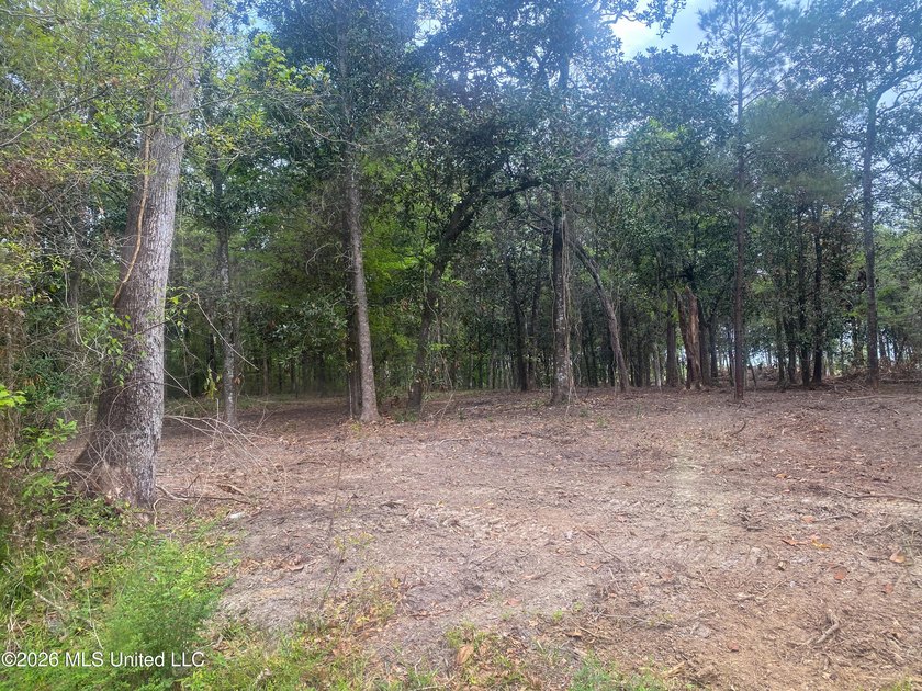 Waterfront Land for Sale - 10.33 Acres on Robinson Bayou! - photo 37