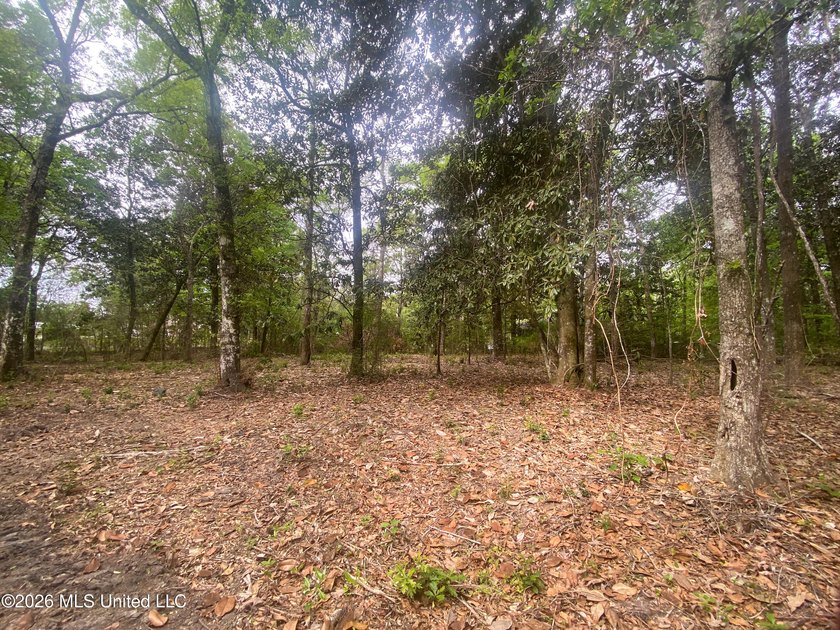 Waterfront Land for Sale - 10.33 Acres on Robinson Bayou! - photo 39