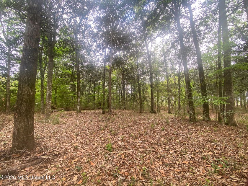 Waterfront Land for Sale - 10.33 Acres on Robinson Bayou! - photo 40