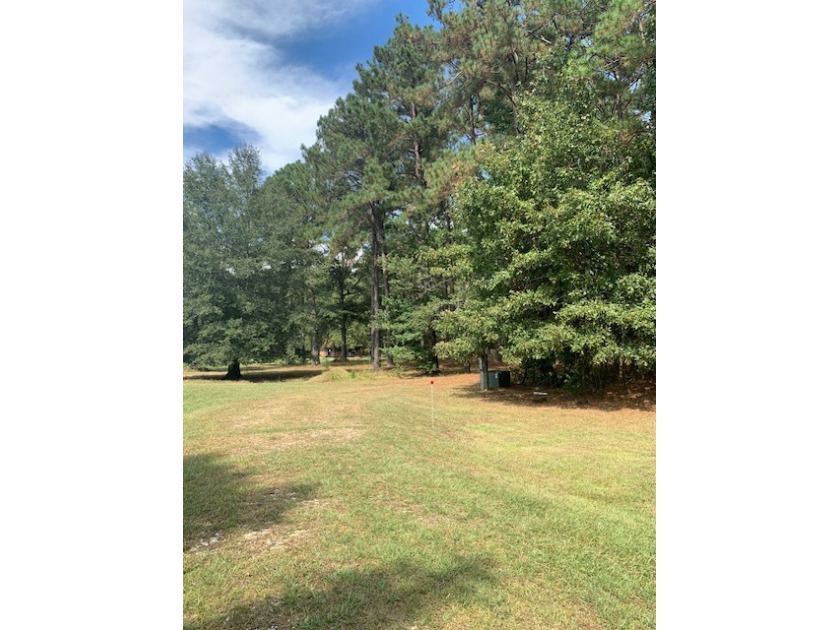 Partially Cleared Lot. - photo 4