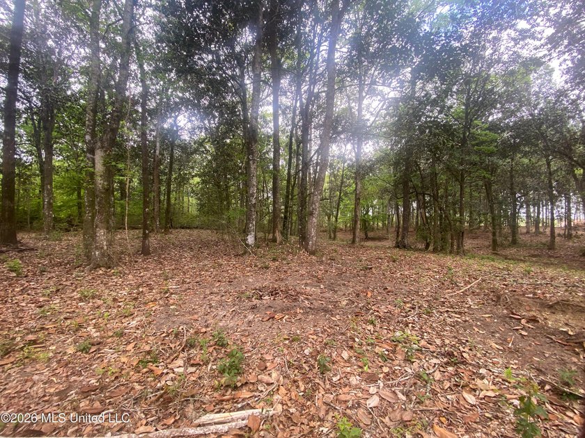 Waterfront Land for Sale - 10.33 Acres on Robinson Bayou! - photo 42