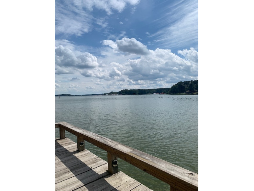 Gorgeous Main Lake Views! - photo 23