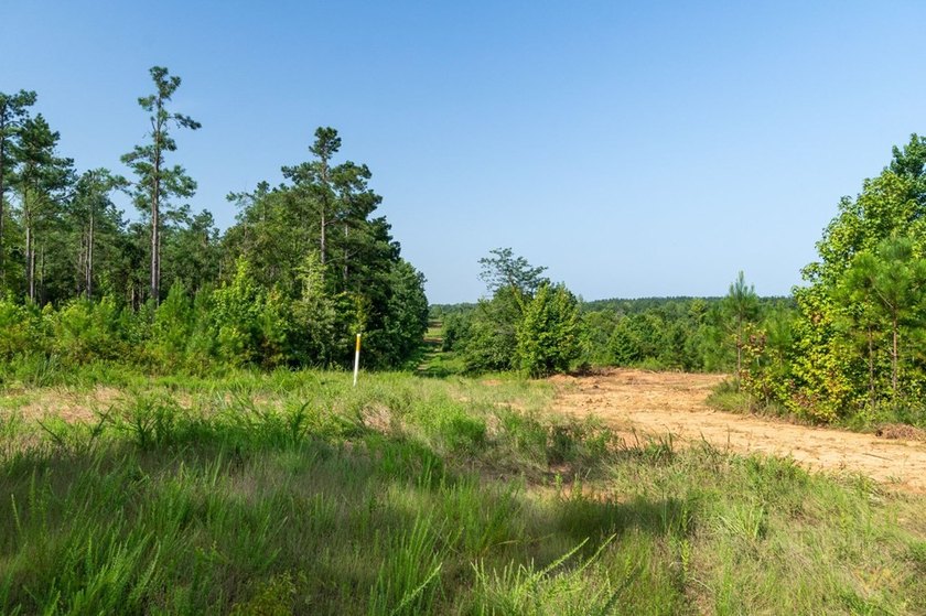 529.5 ( WITH 1.4 MILES OF PAVED ROAD FRONTAGE) ACRES OF PREMIER - photo 9