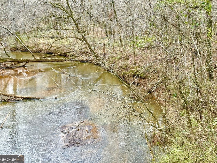 Welcome to 49+ acres on Jordan Road in eastern Harris County - photo 11