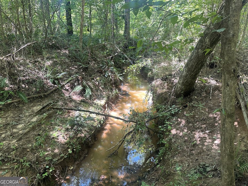 Welcome to 49+ acres on Jordan Road in eastern Harris County - photo 22