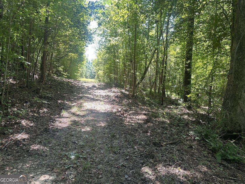 Welcome to 49+ acres on Jordan Road in eastern Harris County - photo 23