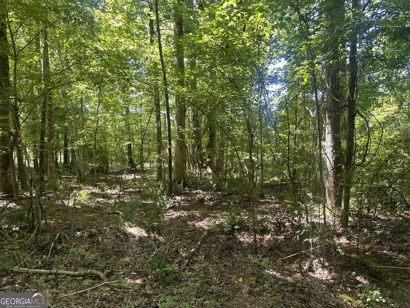 Welcome to 49+ acres on Jordan Road in eastern Harris County - photo 24