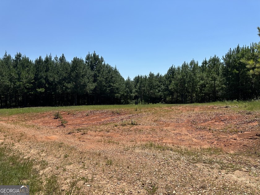 Welcome to 49+ acres on Jordan Road in eastern Harris County - photo 26