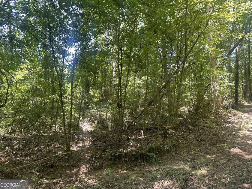 Welcome to 49+ acres on Jordan Road in eastern Harris County - photo 27