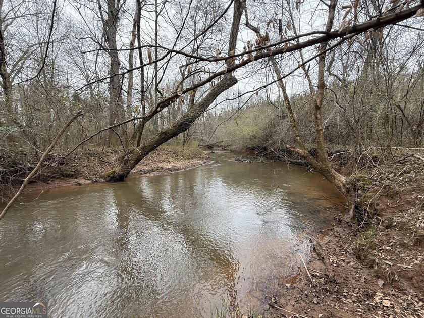 Welcome to 49+ acres on Jordan Road in eastern Harris County - photo 29