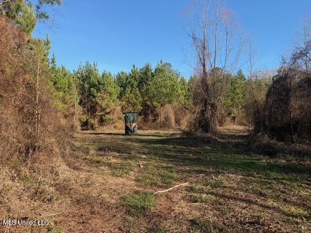 95+/- Acres on Raymond Road - Creek, Ponds, Airstrip, Homesite - photo 11