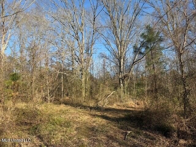 95+/- Acres on Raymond Road - Creek, Ponds, Airstrip, Homesite - photo 15