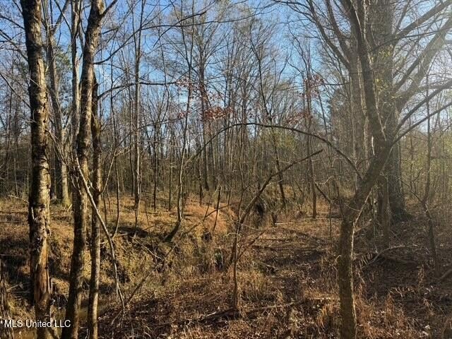 95+/- Acres on Raymond Road - Creek, Ponds, Airstrip, Homesite - photo 17