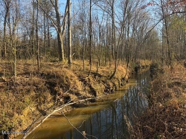95+/- Acres on Raymond Road - Creek, Ponds, Airstrip, Homesite - photo 19