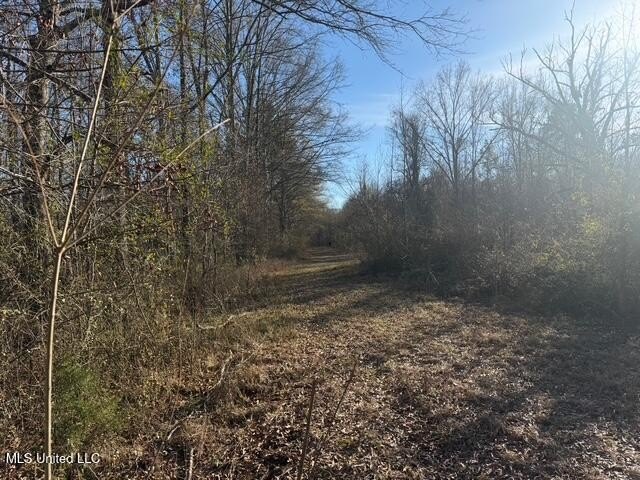 95+/- Acres on Raymond Road - Creek, Ponds, Airstrip, Homesite - photo 21