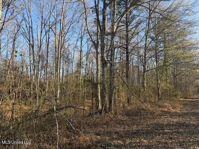 95+/- Acres on Raymond Road - Creek, Ponds, Airstrip, Homesite - photo 23
